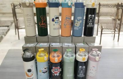 500ml Stainless Steel Vacuum Insulated Water Bottle